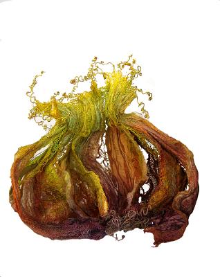 Rita - Fractured pod